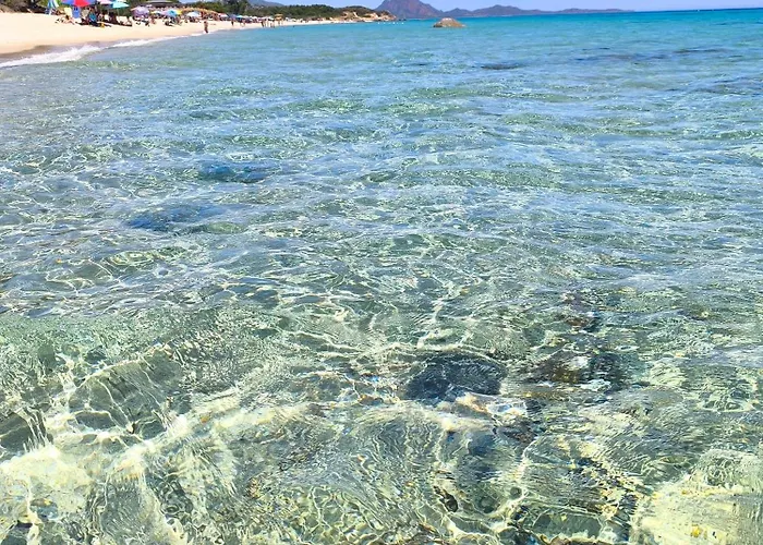 Stella Dorada Vacanze A 5 Minuti Dal Mare, Le Nostre Offrono Tutto Il Necessario Per La Tua Olia Speciosa