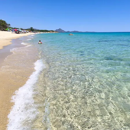 Stella Dorada Vacanze A 5 Minuti Dal Mare, Le Nostre Offrono Tutto Il Necessario Per La Tua 民宿 Olia Speciosa