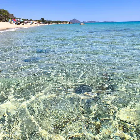 Stella Dorada Vacanze A 5 Minuti Dal Mare, Le Nostre Offrono Tutto Il Necessario Per La Tua Olia Speciosa