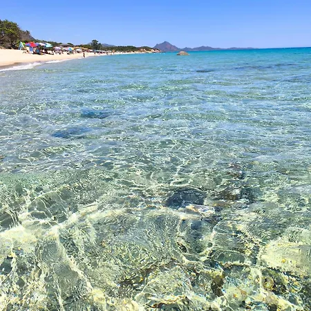 Stella Dorada Vacanze Olia Speciosa